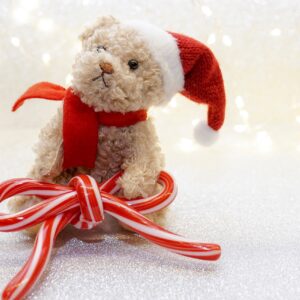 Candy Cane Bear Card