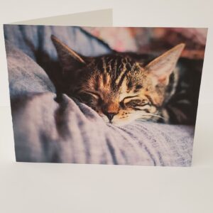Cat Nap Card