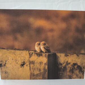 A Pair Of Owls Card
