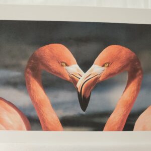 Flamingos Heart Card