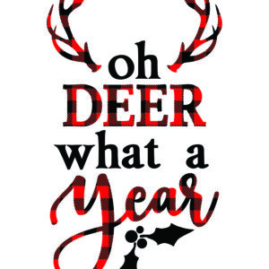 Oh Deer What A Year Card