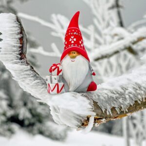 Christmas Gnome Card